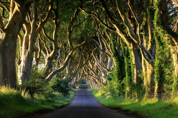 Game of Thrones Cruise Filming Locations